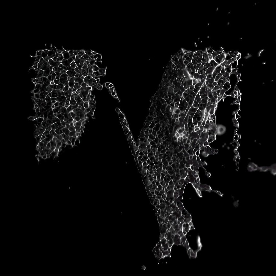 Stylized cap ‘M’ set in Klim’s Maelstrom Sans.