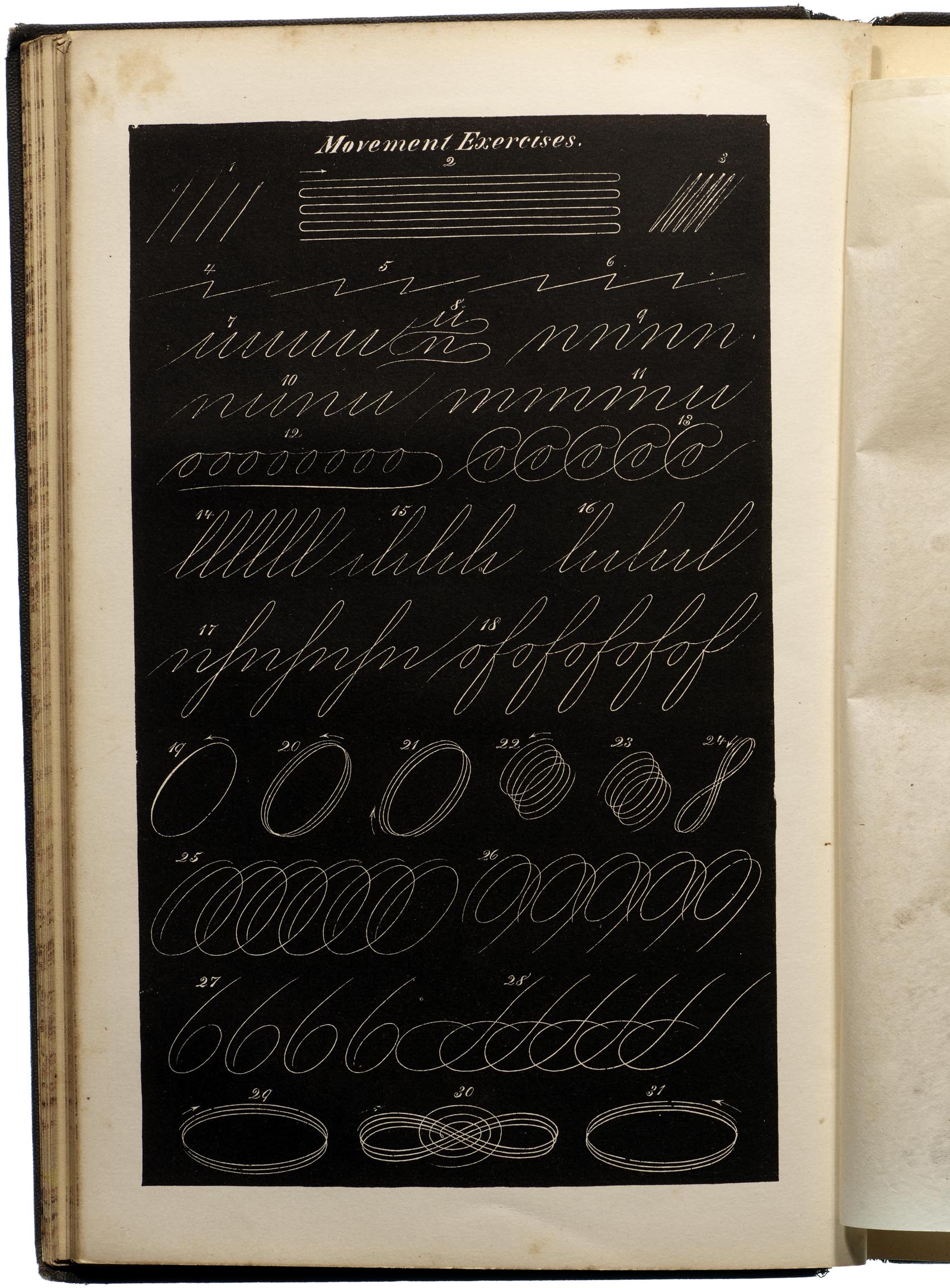 A Digital Bookshelf of Lettering Manuals and Alphabet Source Books