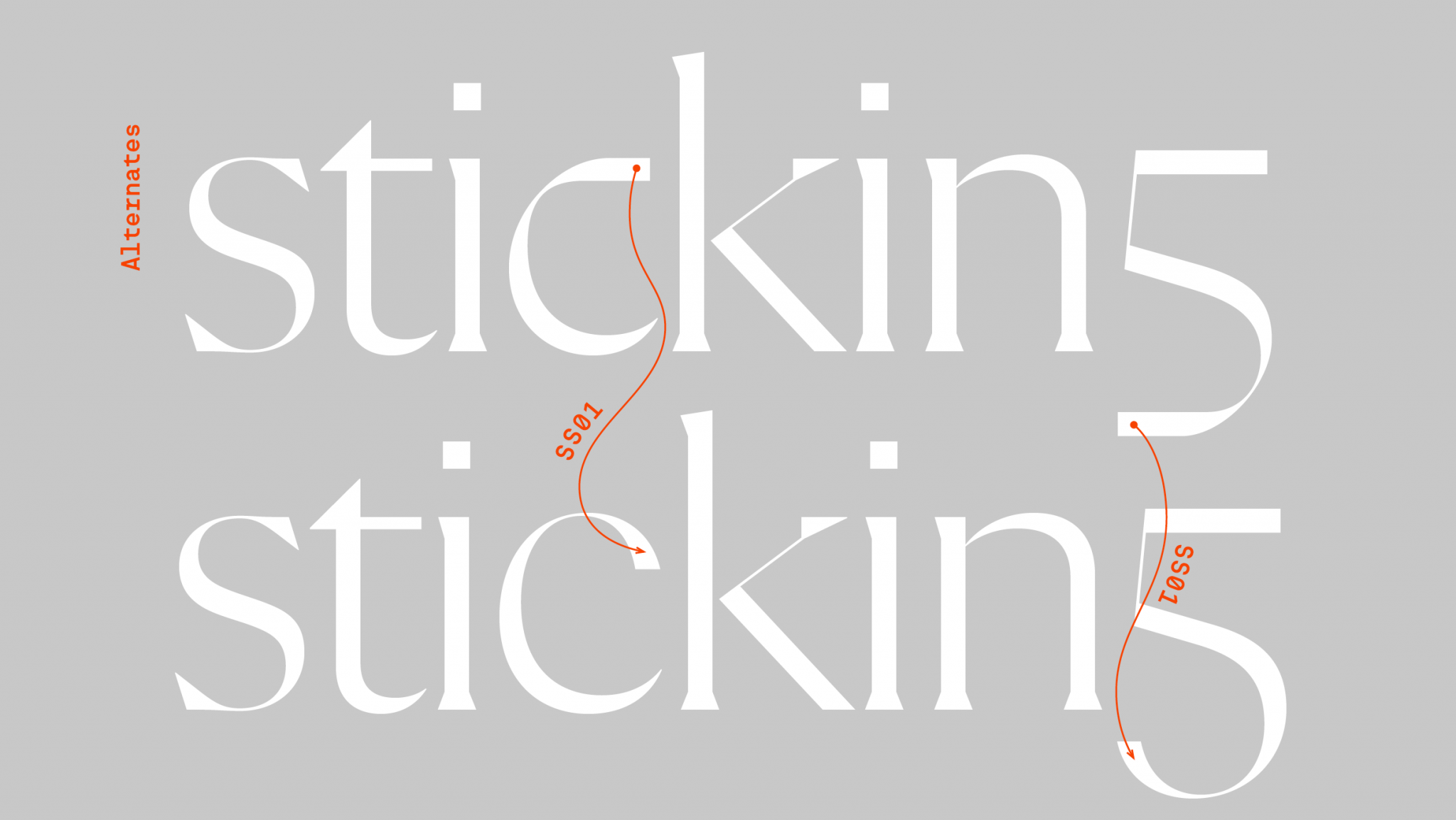 Flecha Typographica